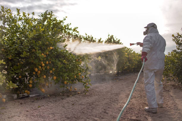 Insect Control in Dallas, OR